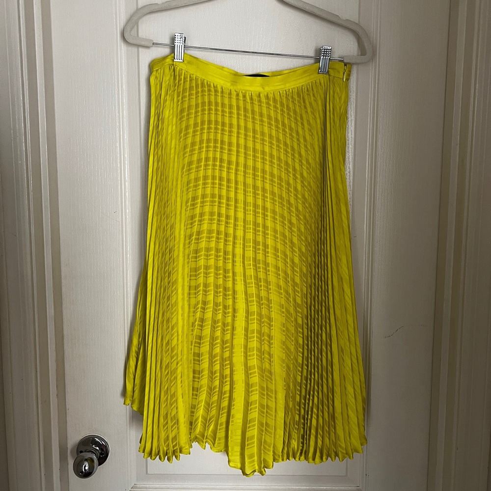 Woman’s Banana Republic Pleated Skirt